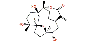 Sinulaflexiolide B